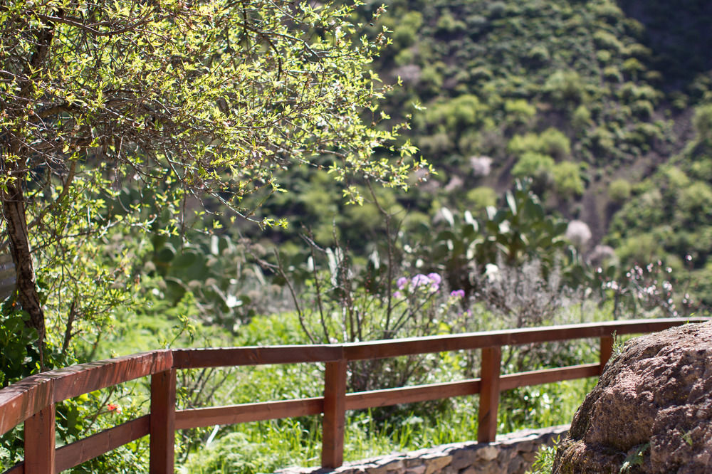 Casas Rurales De Guayadeque Ingenio Eksteriør billede
